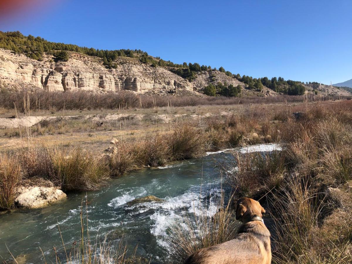 Apartamentos Rurales Mirador Del Negratin Cuevas del Campo Dış mekan fotoğraf
