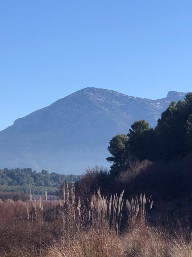 Apartamentos Rurales Mirador Del Negratin Cuevas del Campo Dış mekan fotoğraf
