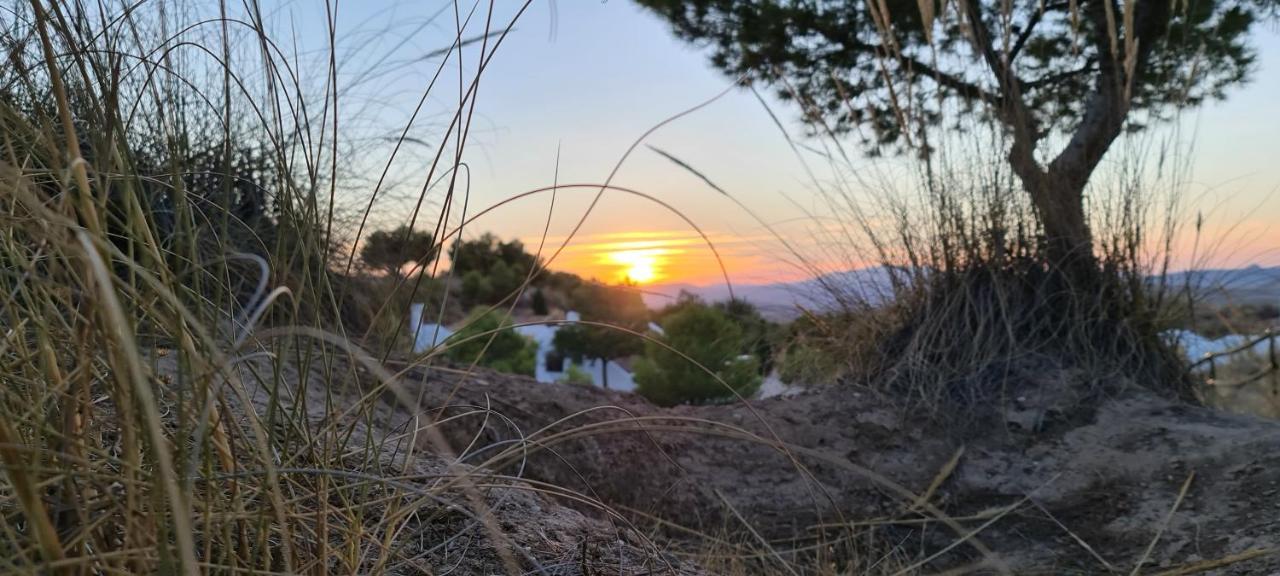 Apartamentos Rurales Mirador Del Negratin Cuevas del Campo Dış mekan fotoğraf